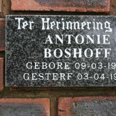 BOSHOFF Antonie 1924-1989