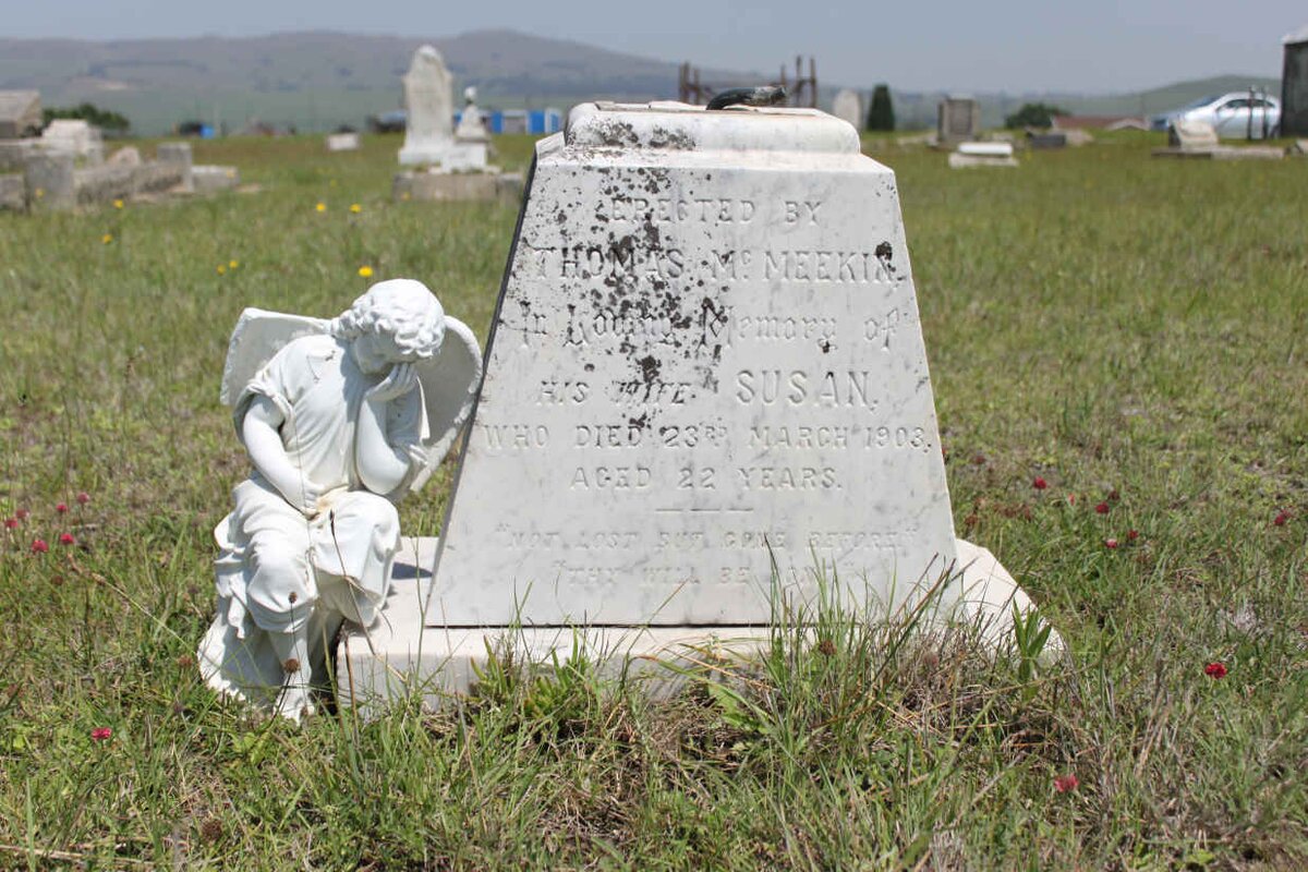 McMEEKIN Susan -1908