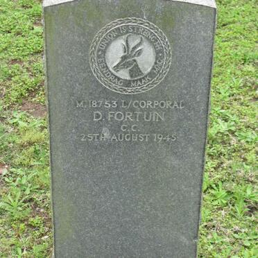 FORTUIN D. -1945