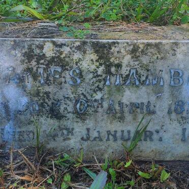 HAMBLIN James 1825-1901