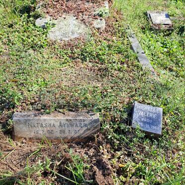 AYLWARD Natasha 1962-1967