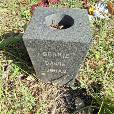 BUBB Bokkie :: BUBB Dawie :: BUBB Johan