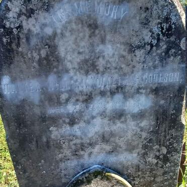 COULSON Walter William -1886 :: JACKSON Llynvi Everton