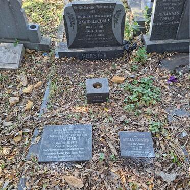 VORSTER Joachim Hendrik Petrus 1927-2000 & Stella 1932-2013 :: VORSTER Dawid Jacobus 1959-1984 