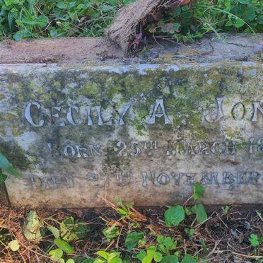 JONES Cecily A. 1894-1895