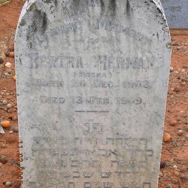 HERMAN Bertha 1903-1909