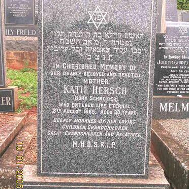 HERSCH Katie nee SCHNEIDER -1965