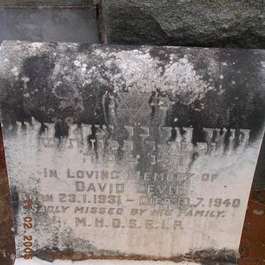 LEVIN David 1931-1940