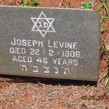 LEVINE Joseph -1906