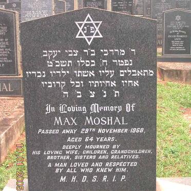 MOSHAL Max -1968 &amp; Zelda -1990