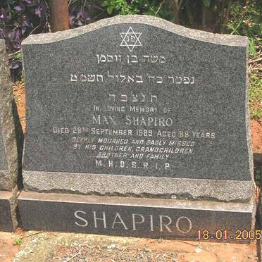 SHAPIRO Max -1989
