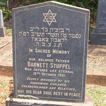 STUPPEL Barnett -1951