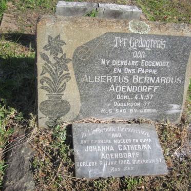 ADENDORFF Albertus Bernardus -1957 &amp; Johanna Catherina -1980