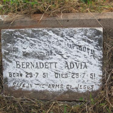 ADVIA Bernadett 1951-1951