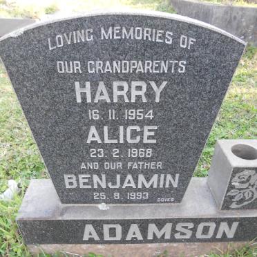 ADAMSON Harry -1954 &amp; Alice -1968 :: ADAMSON Benjamin -1993