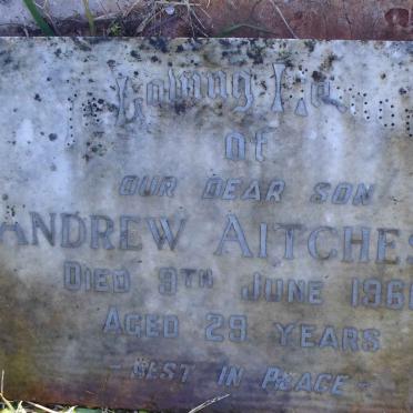 AITCHESON Andrew -1966