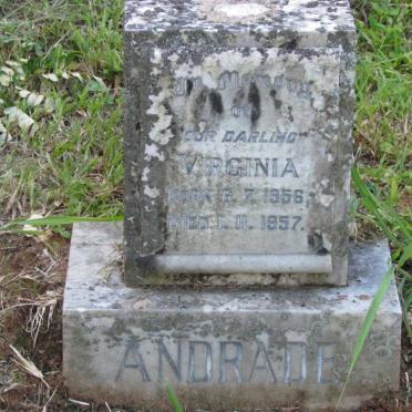 ANDRADE Virginia 1956-1957