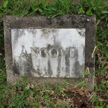 ANGOVE Willie Pearce -1964