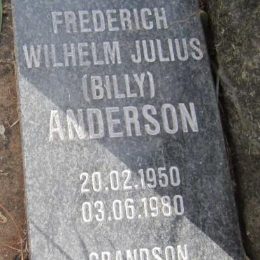 ANDERSON Frederich Wilhelm Julius 1950-1980