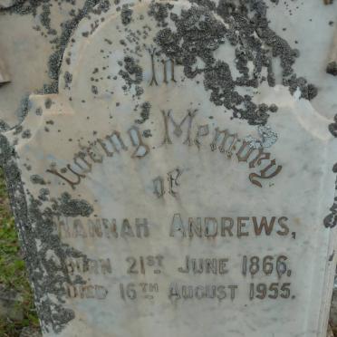 ANDREWS Hannah 1866-1955