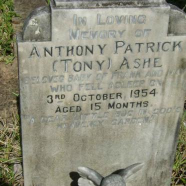 ASHE Anthony Patrick -1954