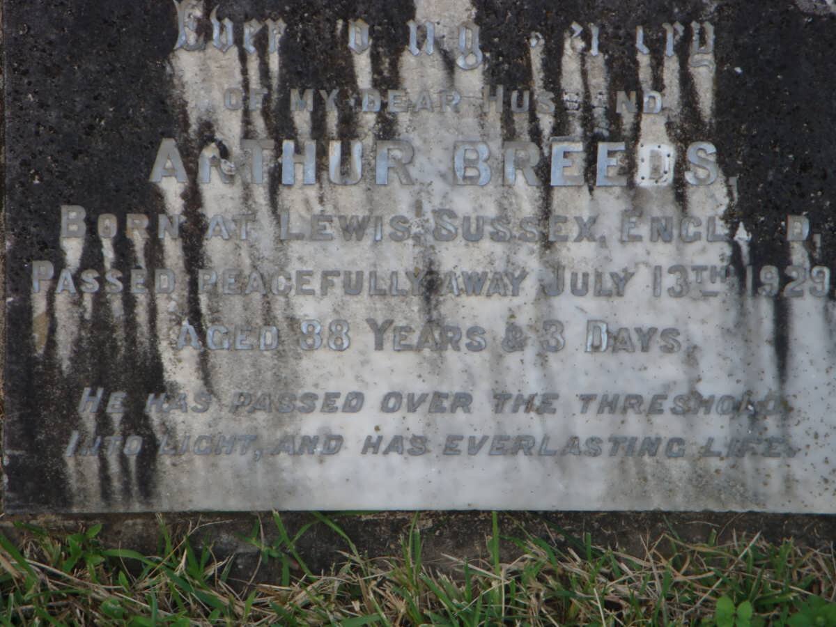 BREEDS Arthur -1929