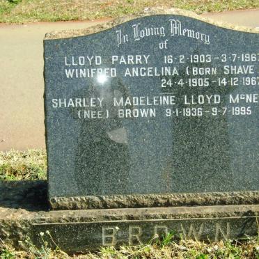 BROWN :: SHAVE :: MCNEILL