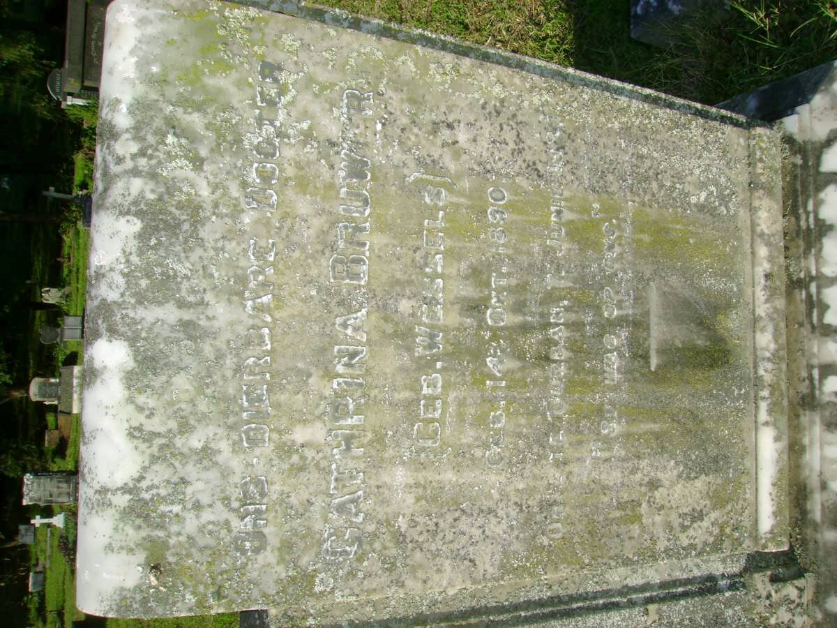 BRUWER Cathrina nee WESSELS -1890-1930