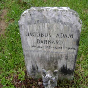 BARNARD Jacobus Adam 1948-1948