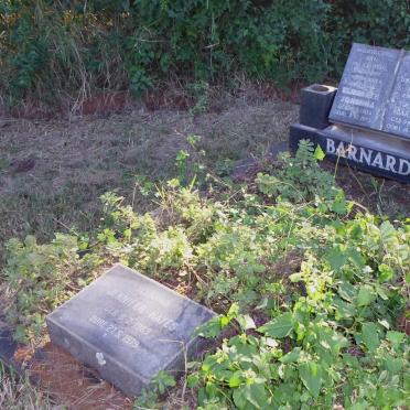 BARNARD J.J.F.L. 1903-1981 &amp; Elizabeth Johanna 1904-1972 :: HAYES Jennifer 1963-1979