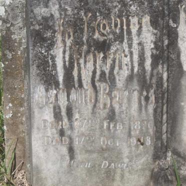 BARNES Harry Osmond 1876-1948