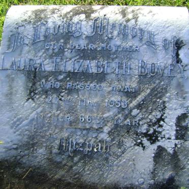 BOVEY Laura Elizabeth -1953