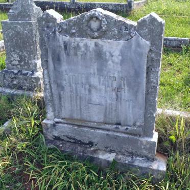 BOWER Gladys N. 1887-1940