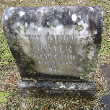 BOWER Henlor Remarque -1946