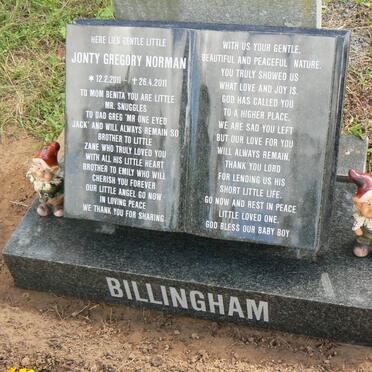BILLINGHAM Jonty Gregory Norman 2011-2011