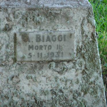 BIAGGI A. -1931