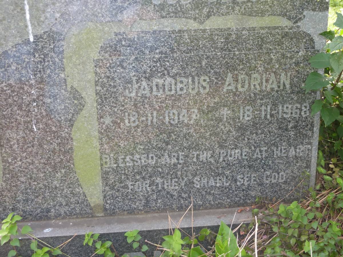 BLIGNAUT Jacobus Adrian 1947-1968