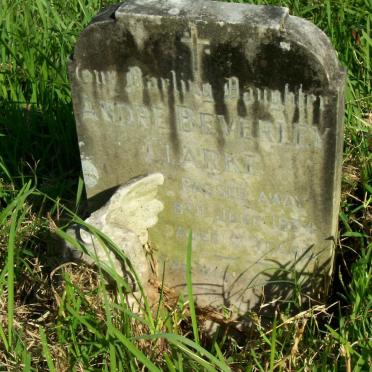 CLARKE Andre Beverley -1964