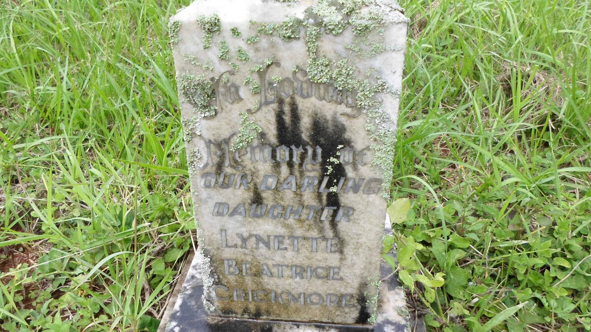 CRICKMORE Lynette Beatrice -1943