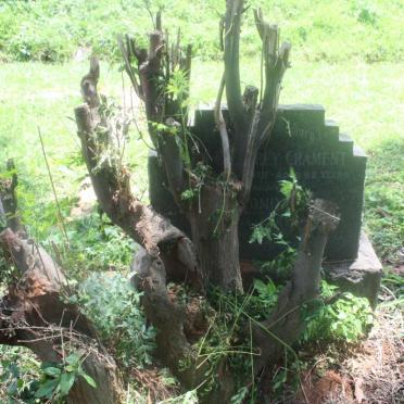 CRAMENT John Godfrey -1948 &amp; Jacomina Gertruida -1970