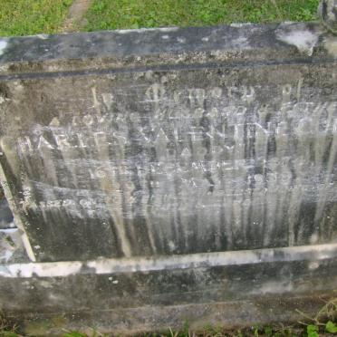 CURRIE Charles Valentine 1874-1930