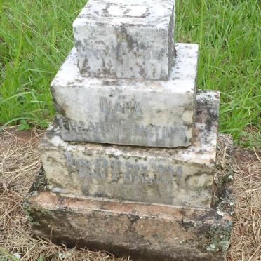 CURTOYS Diana Elizabeth -1942