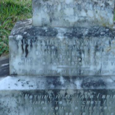 COOK Alexander Steward -1929