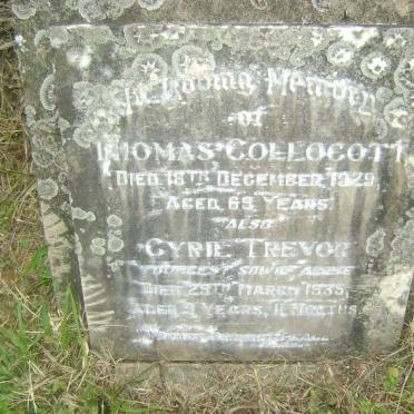 COLLOCOTT Thomas -1929 :: COLLOCOTT Cyril Trevor -1935