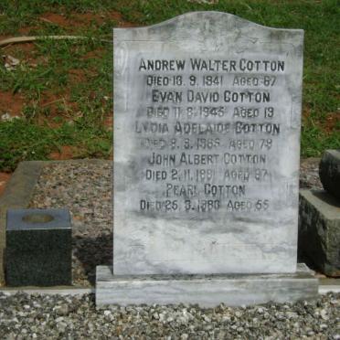 COTTON Andrew Walter -1941 :: COTTON Evan David -1945 :: COTTON Lydia Adelaide -1965
