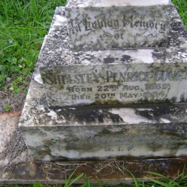 COURT Shelsley Penrice 1869-1934