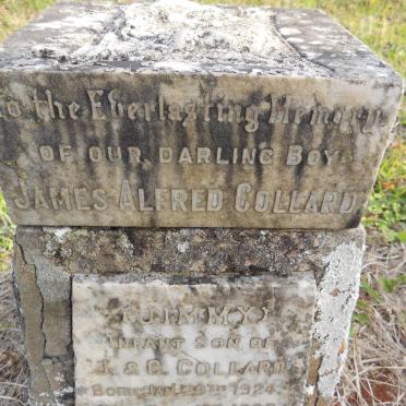 COLLARD James -1947 &amp; Clara Georgina -1957 :: COLLARD James Alfred 1924-1926