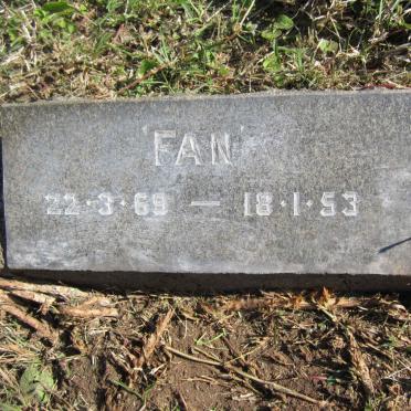 COUSTAS Stavros 1860-1948 &amp; Fanny Emily 1869-1953 :: COUSTAS Claude 1892-1931