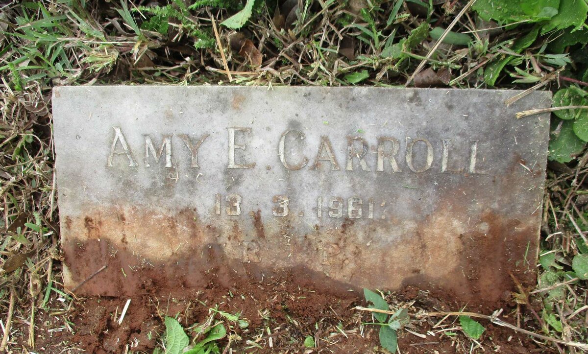 CARROLL Amy E. -1961