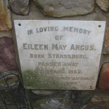 ANGUS Eileen May nee STRASSBURG -1952